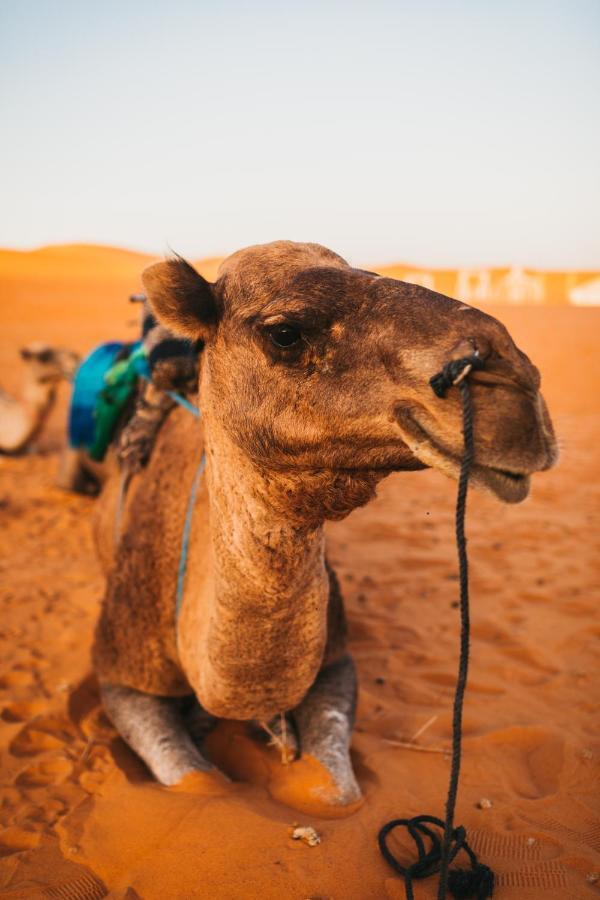Sanmao Desert Luxury Camp Merzouga Eksteriør bilde